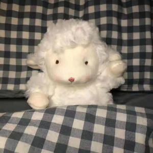 jizzjizz日韩24视频
